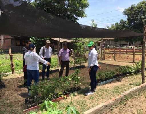 Corpamag implementa proyectos de educación ambiental