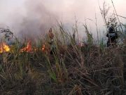 Con helicóptero Black Hawk de la Fuerza Aérea, Gobernación controla incendios en la Sierra Nevada