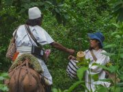 Cabildo Gobernador Wiwa requirió a diputados la aprobación de proyectos departamentales