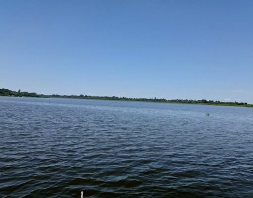 San Zenón / «Complejos cenagosos en condiciones apta para repoblamientos»: AUNAP