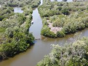 Corpamag iniciará obras en los caños Covado 1 y Covado 2 y Caleta del Tambor