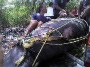 Atentaron contra Julieta la Manatí