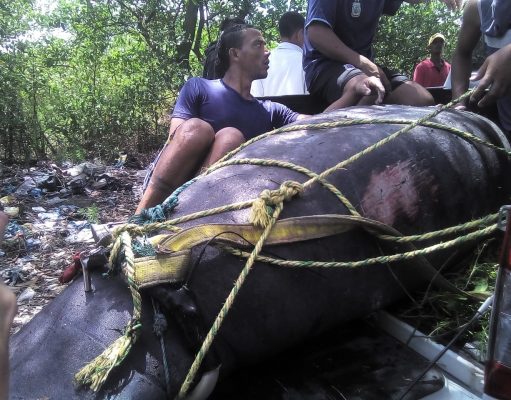 Atentaron contra Julieta la Manatí
