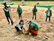 Corpamag sembrará más de 2 mil árboles en el Magdalena