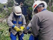Air-e realiza labores de mejora en zona rural de Bonda