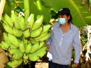 ¡YO SIEMBRO EN ALGARROBO! ¡YO COMPRO EN ALGARROBO!