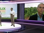 Aceite de palma sostenible colombiano tiene grandes oportunidades en mercados mundiales