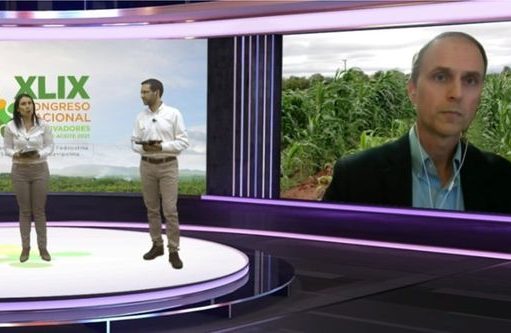 Aceite de palma sostenible colombiano tiene grandes oportunidades en mercados mundiales