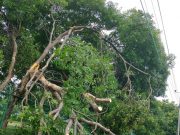 Vendaval afecta servicio de energía en municipios del Magdalena