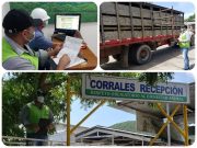 En Magdalena, plantas de beneficio son inspeccionadas por el ICA