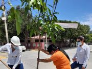 Inició siembra de árboles en la obra de Carrera 19 en Santa Marta