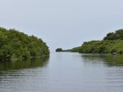 Corpamag socializará adopción de cuatro POMCAS del Magdalena