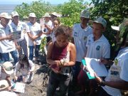 Corpamag capacita a niños en el cuidado y protección de tortugas marinas