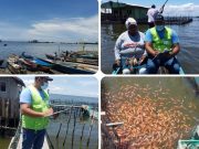 El ICA promueve registro de predios piscícolas en la Ciénaga Grande