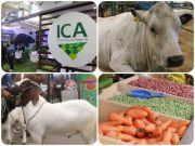 El ICA dio vía libre para realización de Agroexpo 2021