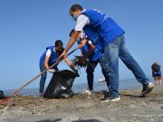 Estudiantes de UNIMAGDALENA realizaron ‘Playatón’ en la bahía de Los Cocos
