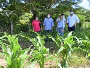 Plato y Algarrobo comparten experiencias en reactivación económica