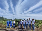 Con árboles e instalación de paneles solares, Air-e aporta al medio ambiente