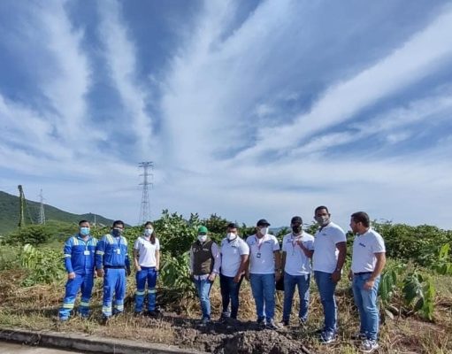 Con árboles e instalación de paneles solares, Air-e aporta al medio ambiente