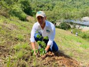 CORPAMAG se une a la Gran Sembratón Nacional