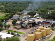 Con PIA en línea, Cenipalma logra su primera patente nacional