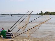 El Banco / Con éxito culminó el Encuentro Municipal de Expresiones Anfibias