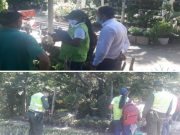 Viveros del Magdalena, con supervisión fitosanitaria del ICA