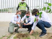 Dadsa inició en Pescaíto la sembratón de 1.500 árboles