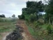 El Banco / Por mal estado de la vía, cosechas de naranja a punto de perderse