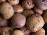 La papa colombiana será disfrutada en Trinidad y Tobago