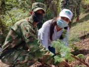 CORPAMAG y Batallón de Alta Montaña realizan siembra en El Campano