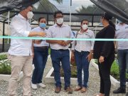 Air-e inauguró tres viveros bioclimáticos en Magdalena