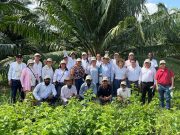 Cenipalma entrega reconocimiento a ganadores de Pequeña y Mediana Escala