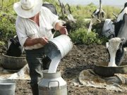 En Magdalena, articulación interinstitucional para fortalecer la inocuidad de los productos lácteos