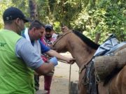El ICA vigila e inspecciona equinos del Parque Tayrona