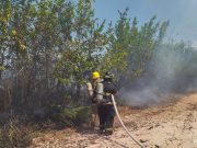 Corpamag adopta medidas frente a temporada seca