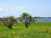 El Banco / UNGRD aprobó obras para controlar inundaciones