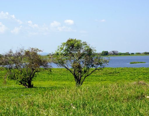 El Banco / UNGRD aprobó obras para controlar inundaciones