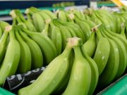 En el 2021 aumentaron un 14% las exportaciones de banano desde el Caribe Colombiano