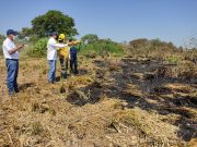 Aracataca/ CORPAMAG determina afectación en Incendio Forestal