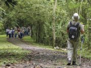 $100 millones de pesos entregará la Alcaldía a emprendedores turísticos