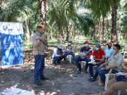 Cargill y Cenipalma suscriben convenio de sostenibilidad en la agroindustria Palmera