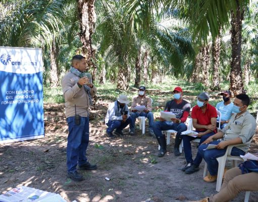 Cargill y Cenipalma suscriben convenio de sostenibilidad en la agroindustria Palmera