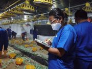 Nuevos desafíos y tendencias del Sector Avícola en Colombia