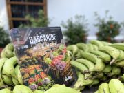 Gases del Caribe lanza segunda edición de su libro de cocina ‘Gascaribe a la Mesa’