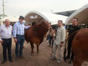 FEDEGÁN hablará en ExpoMalocas sobre la geopolítica en la economía ganadera