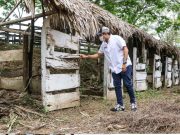 Ariguaní/ Alcalde nuevamente sugiere la realización de la Feria Ganadera