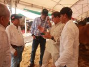 FEDEGÁN destaca presencia del grupo Gusi de México en ExpoMalocas