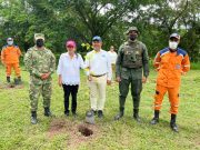 CORPAMAG sembrará más de 9 mil árboles en el Magdalena