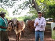 FEDEGÁN empieza Gira Técnica Ganadera Virtual en su canal de YouTube